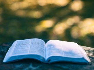大学生在宿舍用手机打开知到app学习慕课课程，屏幕上显示翠绿色界面与进度条，桌面放着笔记本与教材，学习氛围浓厚